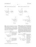 SEPIAPTERIN REDUCTASE INHIBITORS FOR THE TREATMENT OF PAIN diagram and image