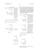 SEPIAPTERIN REDUCTASE INHIBITORS FOR THE TREATMENT OF PAIN diagram and image