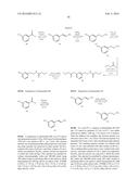 SEPIAPTERIN REDUCTASE INHIBITORS FOR THE TREATMENT OF PAIN diagram and image