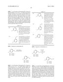 SEPIAPTERIN REDUCTASE INHIBITORS FOR THE TREATMENT OF PAIN diagram and image