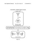 SDP-Containing Heterobifunctional Agents diagram and image