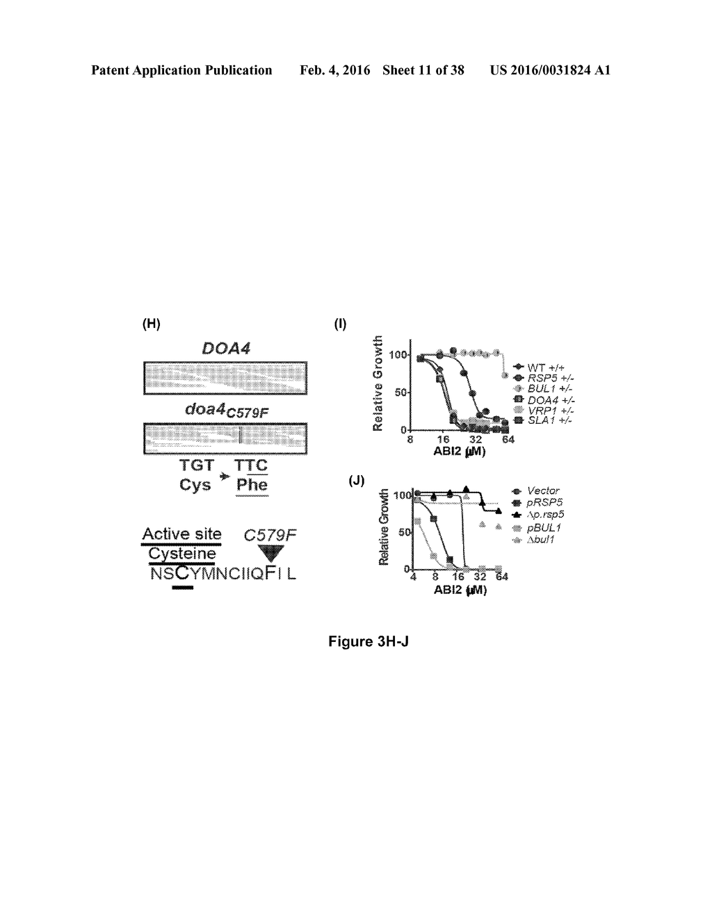 BENZIMIDAZOLE DERIVATIVES AND USES THEREOF - diagram, schematic, and image 12