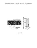 BENZIMIDAZOLE DERIVATIVES AND USES THEREOF diagram and image