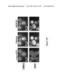 BENZIMIDAZOLE DERIVATIVES AND USES THEREOF diagram and image