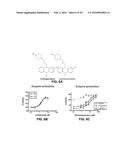 ACTIVATION OR REACTIVATION OF ACHE diagram and image