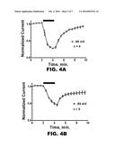 CLUSTER BORON COMPOUNDS AND USES THEREOF diagram and image