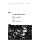 WATER BUFFALO DERIVED PEPTIDE ANTIBIOTIC THERAPIES diagram and image