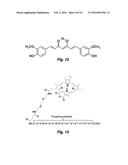 TARGETING PEPTIDES THAT BIND S. MUTANS, CONSTRUCTS COMPRISING SUCH     PEPTIDES AND USES THEREOF diagram and image