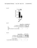 METHODS AND COMPOSITIONS USEFUL IN MANIPULATING THE STABILITY OF RE1     SILENCING TRANSCRIPTION FACTOR diagram and image