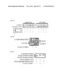 METHODS AND COMPOSITIONS USEFUL IN MANIPULATING THE STABILITY OF RE1     SILENCING TRANSCRIPTION FACTOR diagram and image