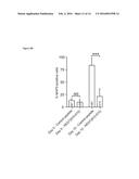 METHODS AND COMPOSITIONS USEFUL IN MANIPULATING THE STABILITY OF RE1     SILENCING TRANSCRIPTION FACTOR diagram and image