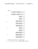 METHODS AND COMPOSITIONS USING KLOTO-FGF FUSION POLYPEPTIDES diagram and image