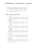 METHODS AND COMPOSITIONS USING KLOTO-FGF FUSION POLYPEPTIDES diagram and image