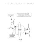 Methods and compositions with a recombinant neutralizing binding protein     for treating toxin exposure diagram and image