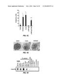 TREATMENT OF STAPHYLOCOCCAL DISORDERS diagram and image