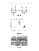 TREATMENT OF STAPHYLOCOCCAL DISORDERS diagram and image