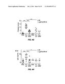 TREATMENT OF STAPHYLOCOCCAL DISORDERS diagram and image