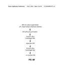 TREATMENT OF STAPHYLOCOCCAL DISORDERS diagram and image