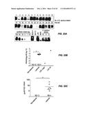 TREATMENT OF STAPHYLOCOCCAL DISORDERS diagram and image