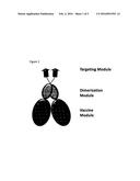 TARGETING VACCINES FOR VETERINARY USE diagram and image