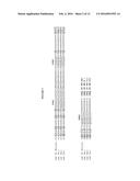 ANTI-ALPHA V BETA 6 ANTIBODIES AND USES THEREOF diagram and image