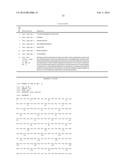 THERAPEUTIC AND DIAGNOSTIC TARGET FOR CANCER COMPRISING DLL3 BINDING     REAGENTS diagram and image