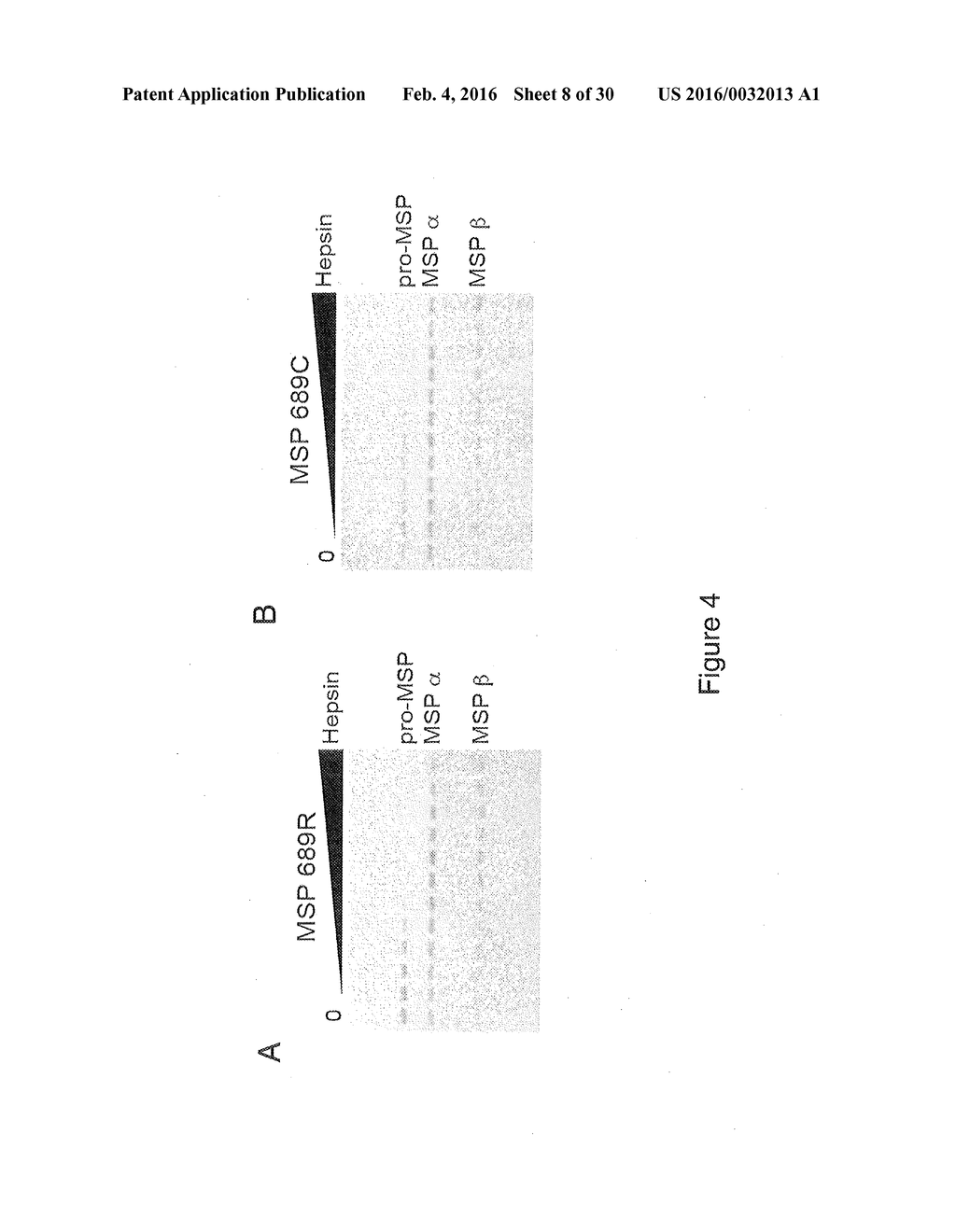 RON COMPOSITIONS AND METHODS OF USE THEREOF - diagram, schematic, and image 09