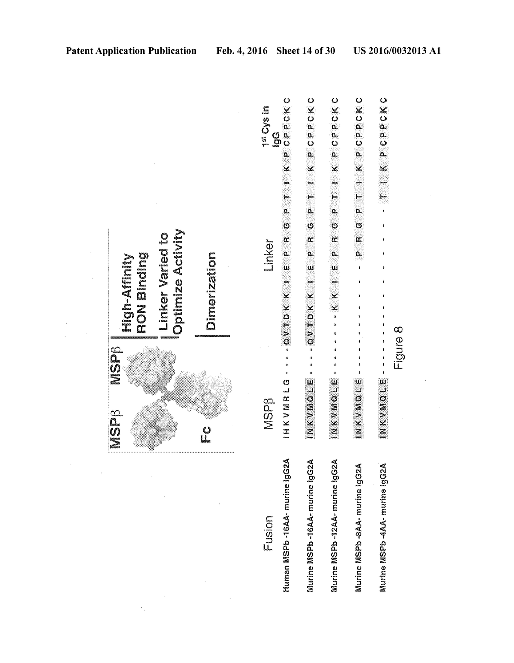 RON COMPOSITIONS AND METHODS OF USE THEREOF - diagram, schematic, and image 15
