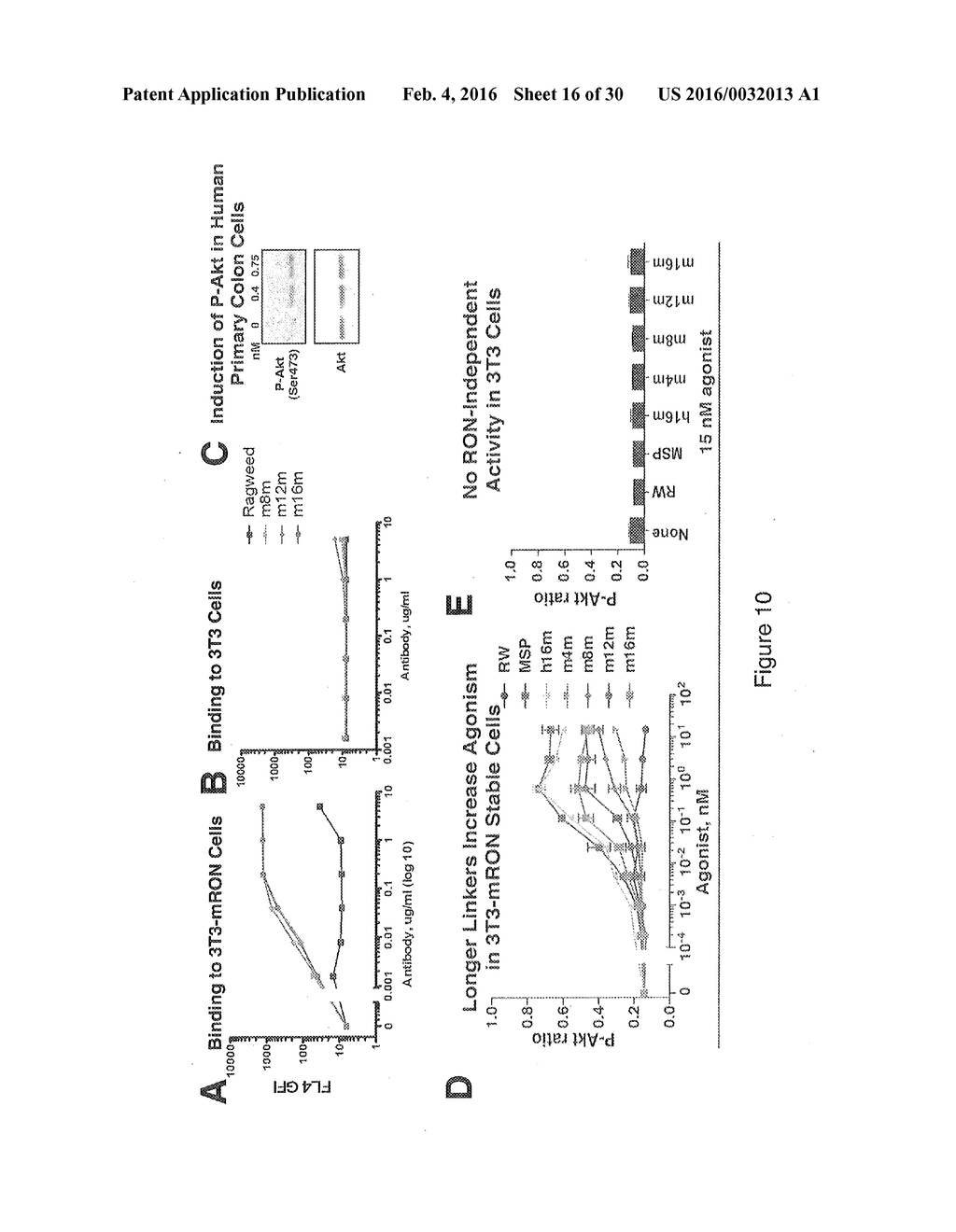 RON COMPOSITIONS AND METHODS OF USE THEREOF - diagram, schematic, and image 17