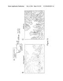 RON COMPOSITIONS AND METHODS OF USE THEREOF diagram and image