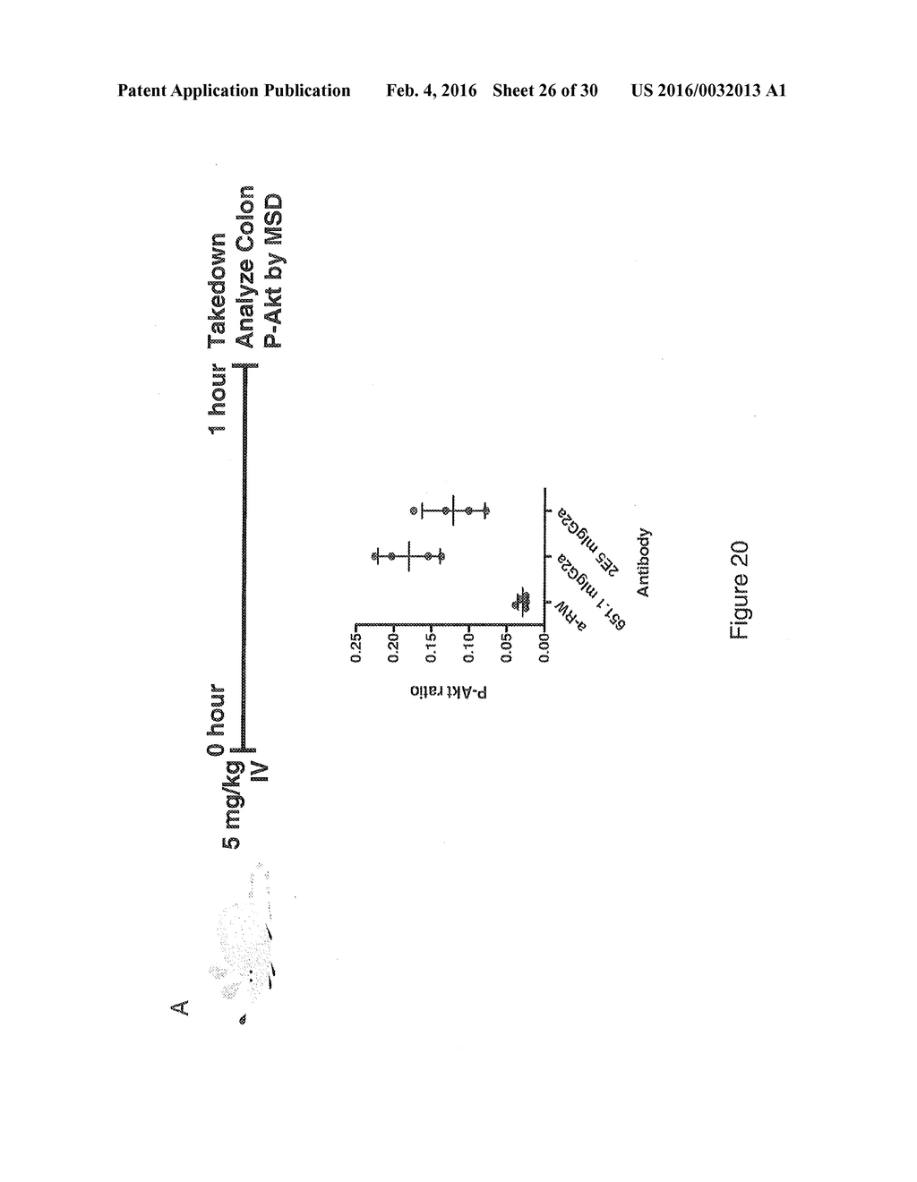 RON COMPOSITIONS AND METHODS OF USE THEREOF - diagram, schematic, and image 27