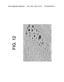 Process For Producing Articles Formed From Polylactic Acid and Articles     Made Therefrom diagram and image