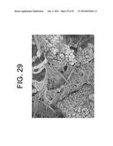 Process For Producing Articles Formed From Polylactic Acid and Articles     Made Therefrom diagram and image