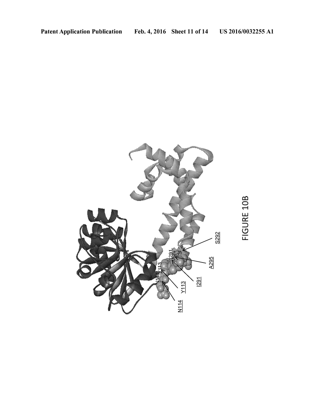 Ketol-Acid Reductoisomerase Enzymes and Methods of Use - diagram, schematic, and image 12