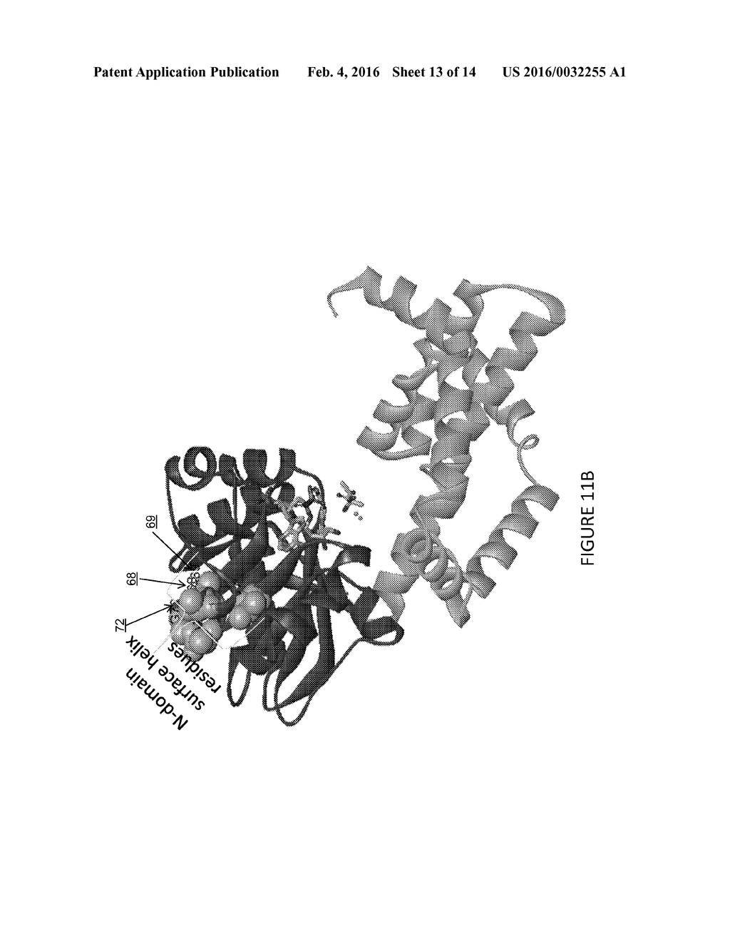 Ketol-Acid Reductoisomerase Enzymes and Methods of Use - diagram, schematic, and image 14