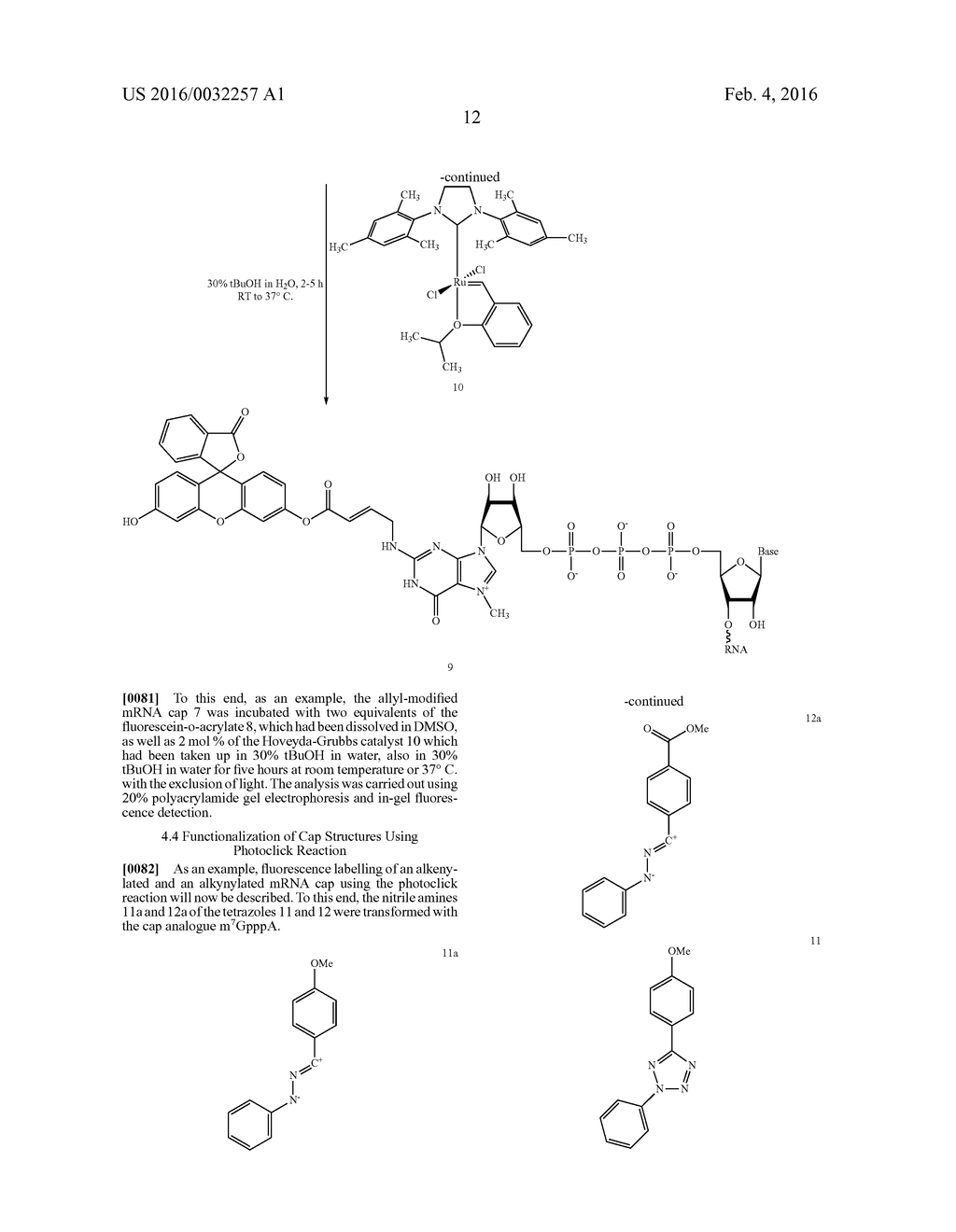 AGENT AND METHOD FOR MODIFYING THE 5' CAP OF RNA - diagram, schematic, and image 13