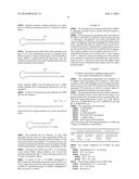 Methods and Compositions for PCR diagram and image