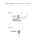 NANOPIPETTE DEVICE AND METHOD FOR SUBCELLULAR ANALYSIS diagram and image