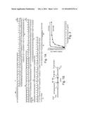 SCAFFOLD PROTEINS DERIVED FROM PLANT CYSTATINS diagram and image