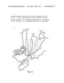 SCAFFOLD PROTEINS DERIVED FROM PLANT CYSTATINS diagram and image