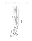 SCAFFOLD PROTEINS DERIVED FROM PLANT CYSTATINS diagram and image