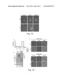 SCAFFOLD PROTEINS DERIVED FROM PLANT CYSTATINS diagram and image