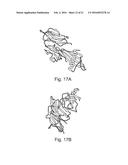 SCAFFOLD PROTEINS DERIVED FROM PLANT CYSTATINS diagram and image