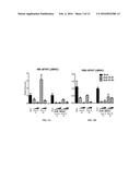 INHIBITORS OF MYH7B AND USES THEREOF diagram and image