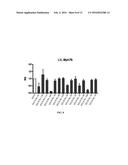 INHIBITORS OF MYH7B AND USES THEREOF diagram and image