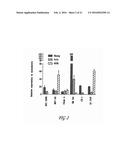 PHARMACEUTICAL COMPOSITION COMPRISING NANOG SHRNA, AND METHOD OF USING     NANOG SHRNA TO TREAT CANCER diagram and image