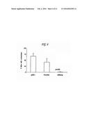 PHARMACEUTICAL COMPOSITION COMPRISING NANOG SHRNA, AND METHOD OF USING     NANOG SHRNA TO TREAT CANCER diagram and image