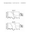 PHARMACEUTICAL COMPOSITION COMPRISING NANOG SHRNA, AND METHOD OF USING     NANOG SHRNA TO TREAT CANCER diagram and image