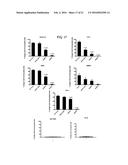 PHARMACEUTICAL COMPOSITION COMPRISING NANOG SHRNA, AND METHOD OF USING     NANOG SHRNA TO TREAT CANCER diagram and image