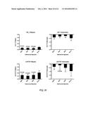 PHARMACEUTICAL COMPOSITION COMPRISING NANOG SHRNA, AND METHOD OF USING     NANOG SHRNA TO TREAT CANCER diagram and image